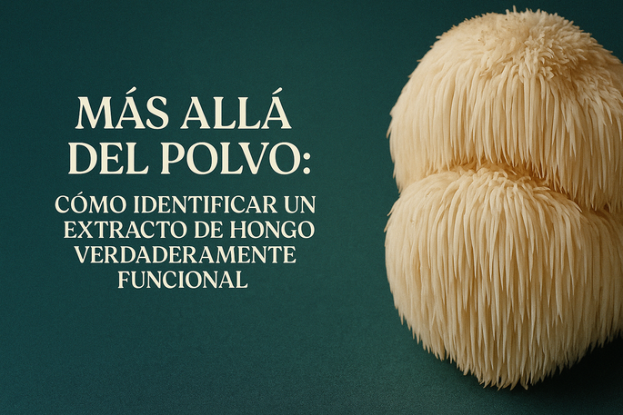 Más allá del polvo: Cómo identificar un extracto de hongo verdaderamente funcional